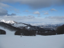 c0102375_131896.jpg