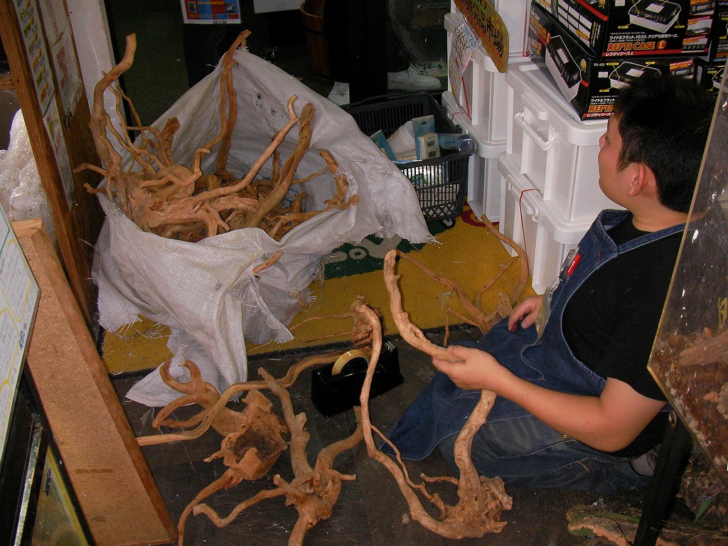 e0099576_12334437.jpg