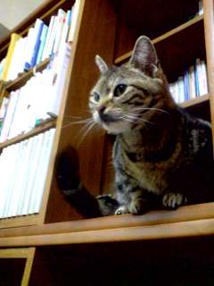 e0141077_12301091.jpg
