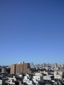 b0034381_657856.jpg