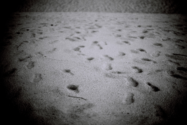 f0187882_6115685.jpg