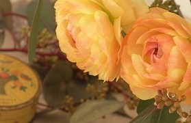 e0043686_9201662.jpg