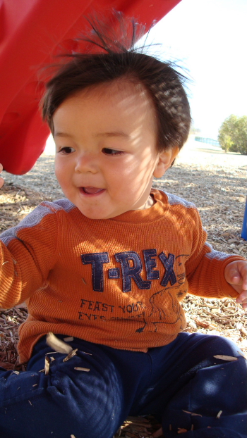 e0073087_1122225.jpg