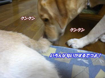 c0028792_2394938.jpg