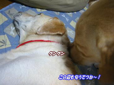 c0028792_2395972.jpg