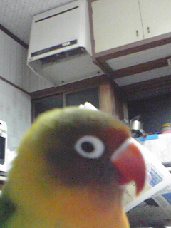 a0112595_15393964.jpg