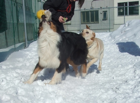 f0077697_19232491.jpg