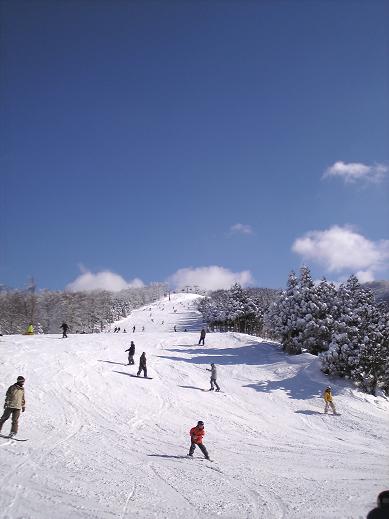 d0095698_2152581.jpg