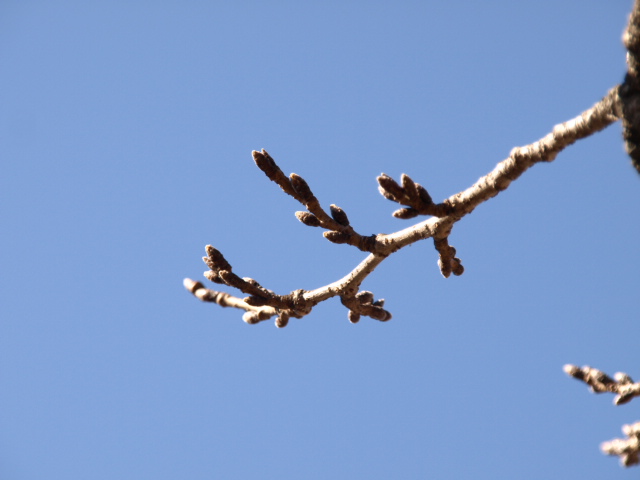 d0140300_18104114.jpg