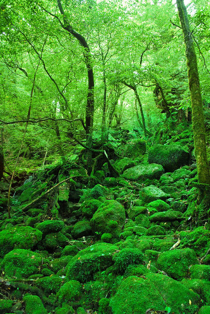 d0100504_2155769.jpg