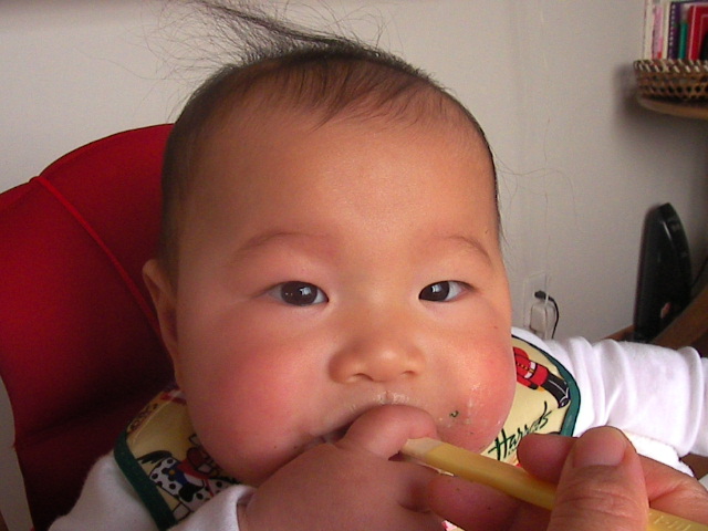 f0038407_1634817.jpg