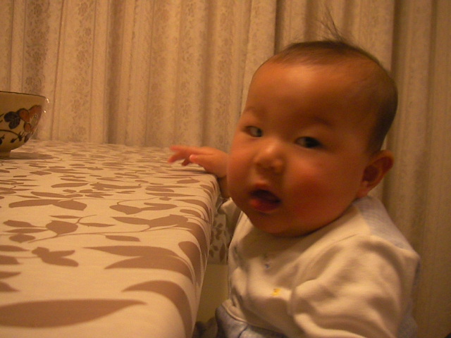 f0038407_166293.jpg