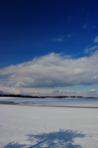 c0146510_22122455.jpg