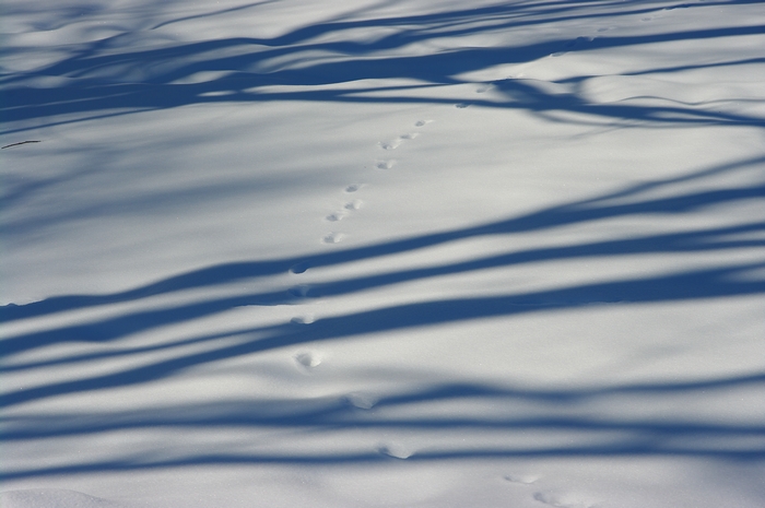 c0146510_22151153.jpg