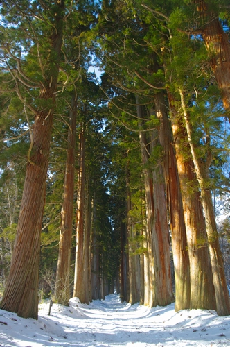 c0146510_22152612.jpg
