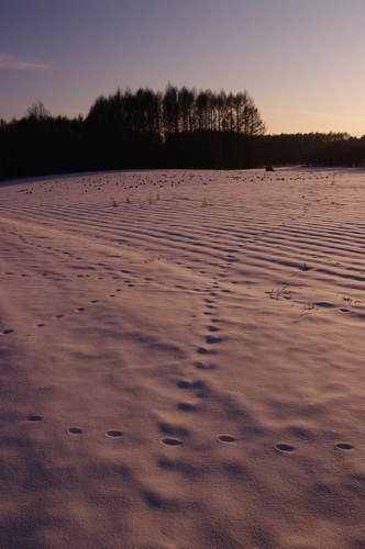 c0146510_22153891.jpg