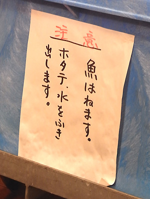 a0065611_1342255.jpg