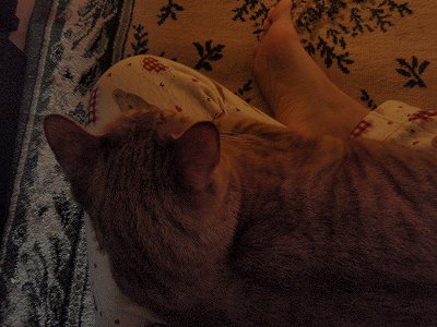 c0145016_2124172.jpg