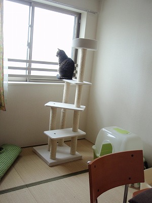 c0145016_21242715.jpg