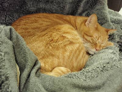 c0145016_21501477.jpg