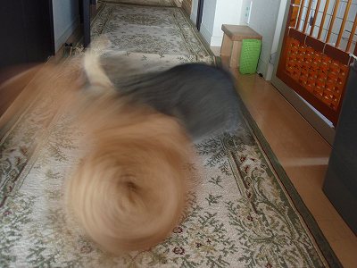 c0145016_965835.jpg