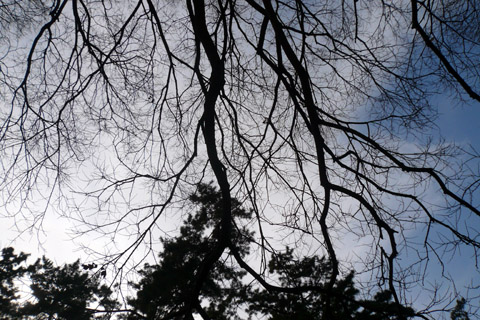 e0083517_0364491.jpg