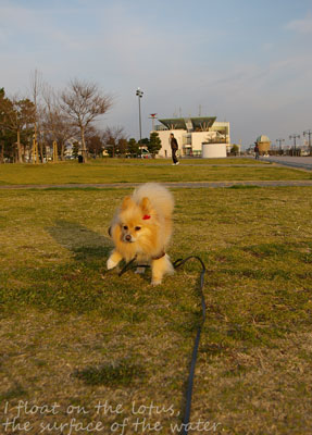 b0075318_1463598.jpg