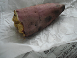 e0110719_21405613.jpg