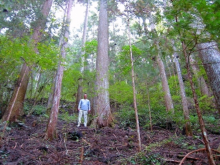 e0002820_2142416.jpg