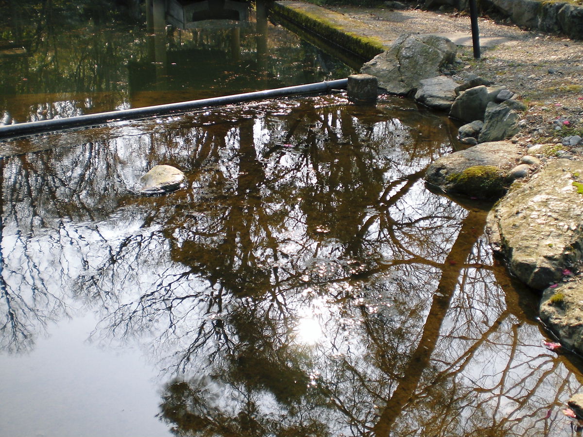 f0111128_23334515.jpg
