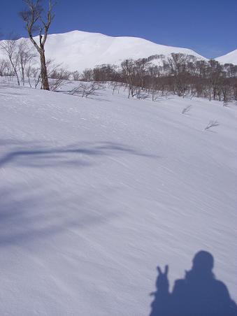 f0118332_23273632.jpg