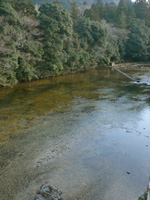 b0090333_23373999.jpg