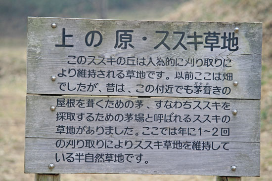 e0044635_18191331.jpg