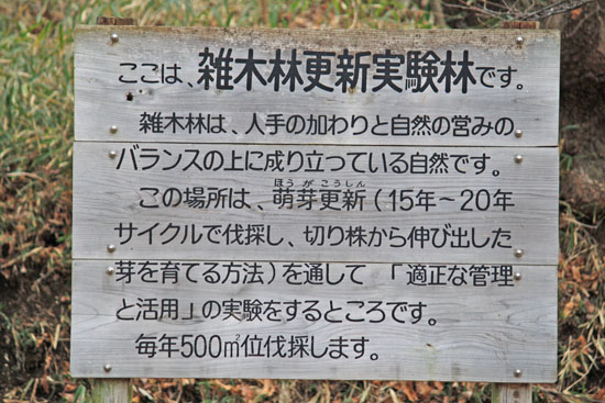 e0044635_18193145.jpg
