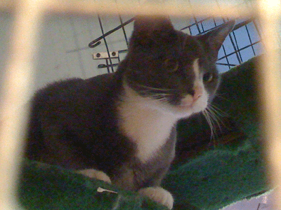 f0008935_9251571.gif
