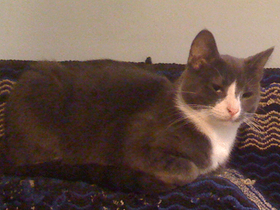 f0008935_9252761.gif