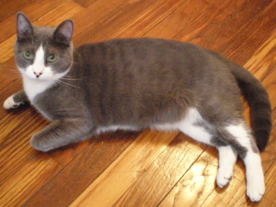 f0008935_928397.gif