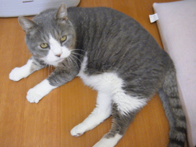 f0008935_9393192.gif