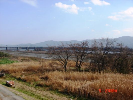 b0012636_2323730.jpg