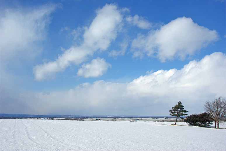 f0152939_23104671.jpg