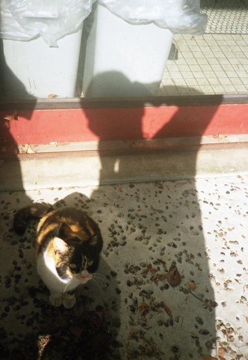 d0089742_036329.jpg
