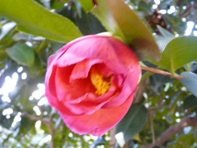 e0145782_18104647.jpg