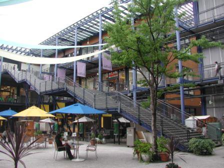 e0164082_17554944.jpg