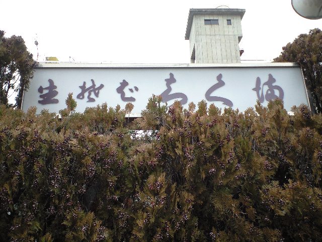 f0051283_2120756.jpg
