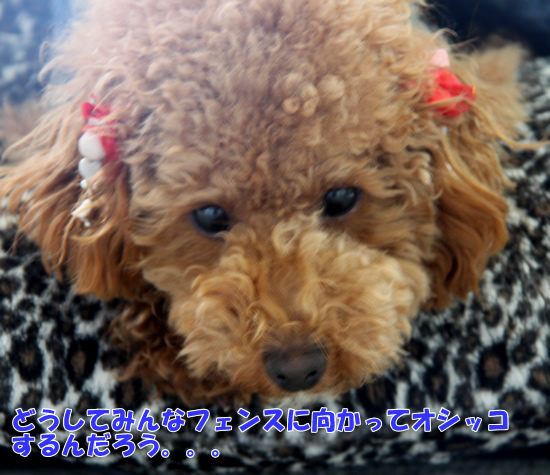 c0164491_12224367.jpg