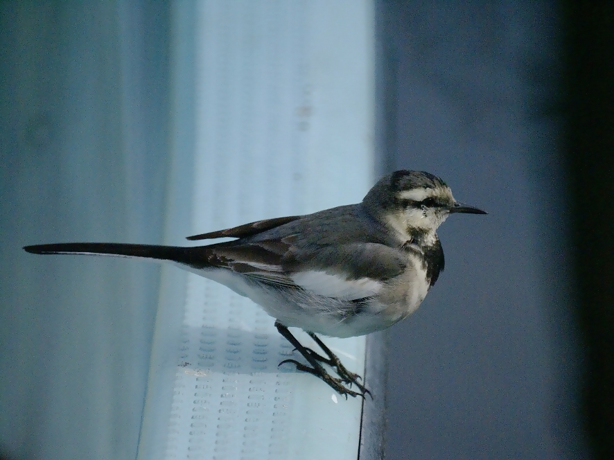 c0186592_12214542.jpg