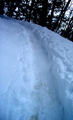 b0099994_9402088.jpg