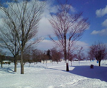 f0153998_1193945.jpg