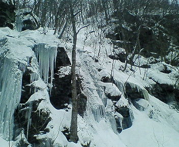 f0153998_1224598.jpg