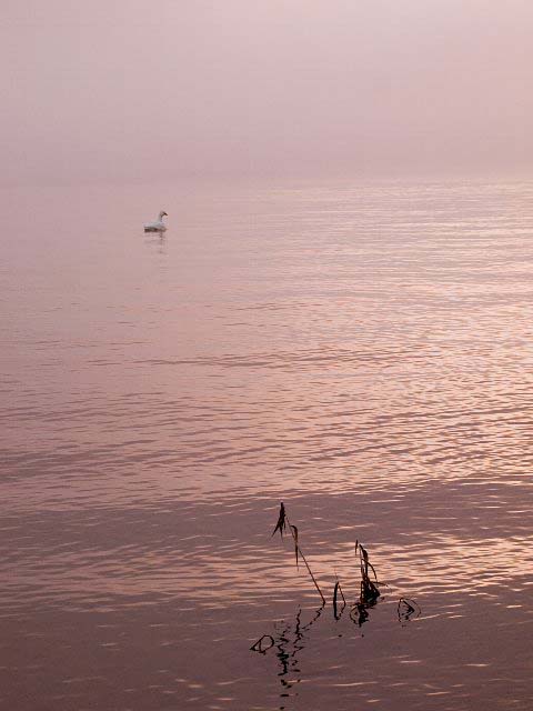 c0008502_14213329.jpg